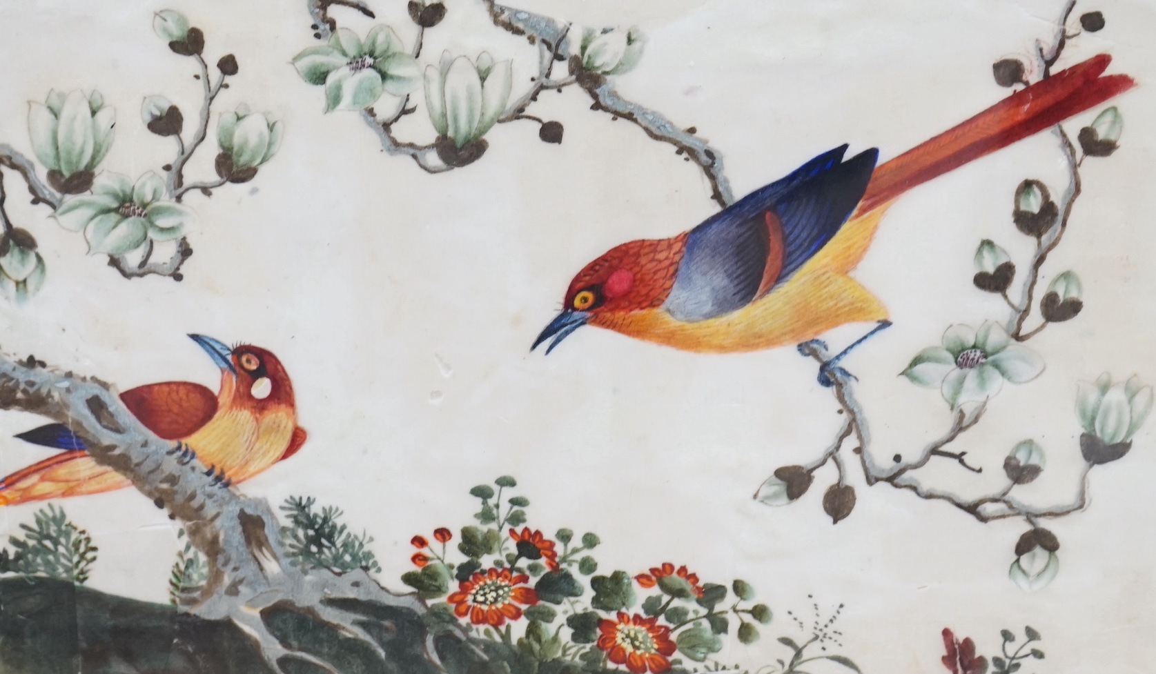 19th century Chinese school, pair of pith paper paintings, Birds of paradise amongst flowers, 17 x 28cm